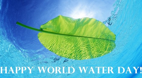 World Water Day Wishes