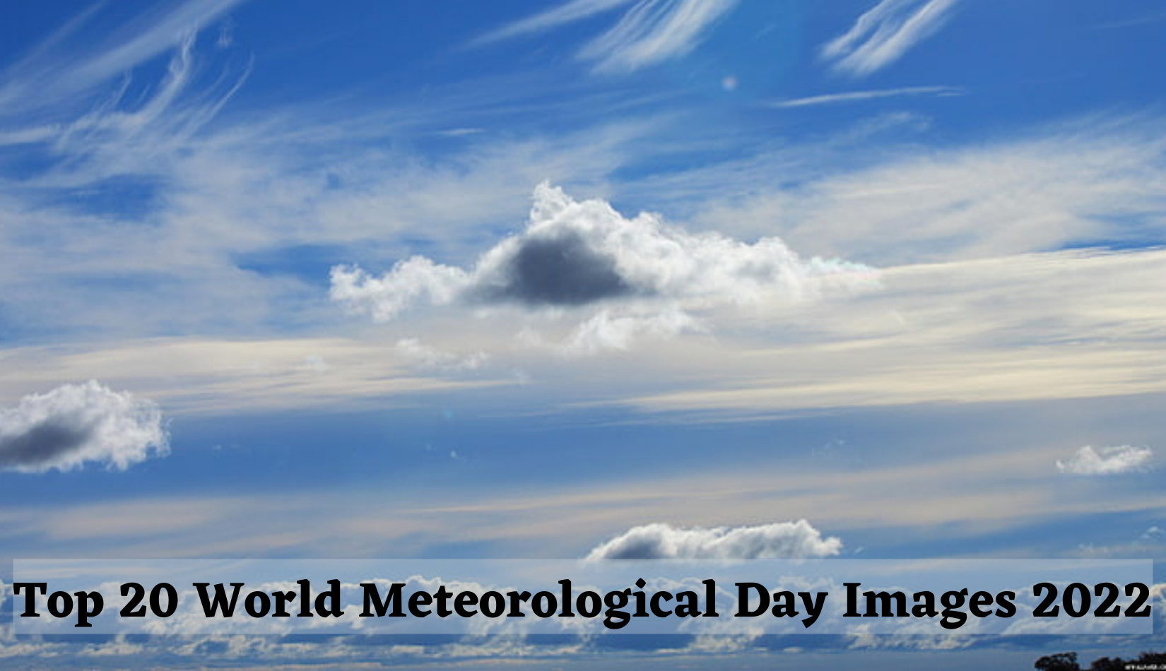 World Meteorological Day Images